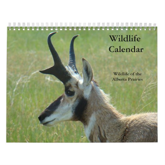 C14 Wildlife Calendar Kalender (Titelbild)