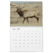 C14 Wildlife Calendar Kalender (Mär 2027)