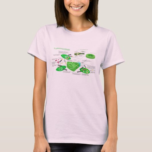 C4 Fotosynthese-Diagramm T-Shirt (Vorderseite)