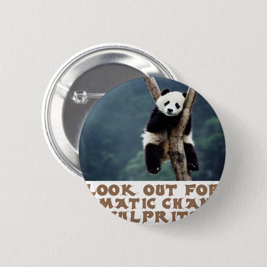 c7.png button (Vorne & Hinten)