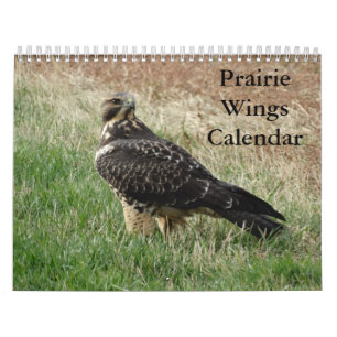 C7 Prairie Wings Kalender