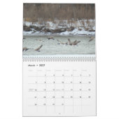 C7 Prärie Wings Calendar Kalender (Mär 2027)