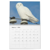 C8 Prärie Wings Calendar Kalender (Feb 2026)