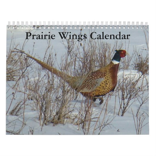 C8 Prärie Wings Calendar Kalender (Titelbild)