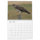 C8 Prärie Wings Calendar Kalender (Mär 2027)