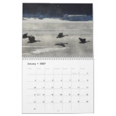 C8 Prärie Wings Calendar Kalender (Jan 2027)