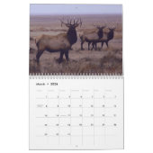 C9 Big Bull Elk Calendar Kalender (Mär 2026)