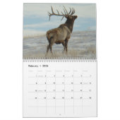 C9 Big Bull Elk Calendar Kalender (Feb 2026)
