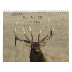 C9 Großer Bull-Elch-Kalender Kalender