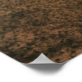 C-130 Herkules Poster (Ecke)