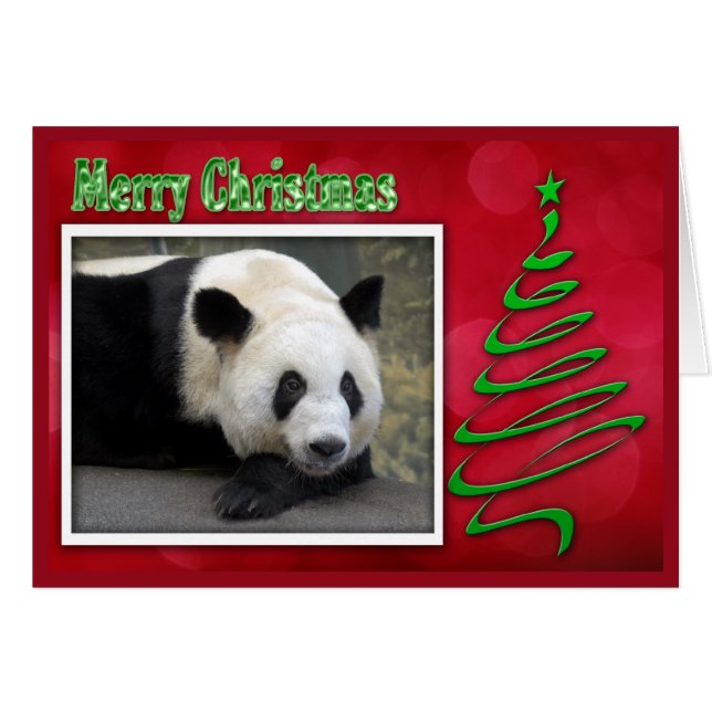 c-2011-panda-0059 (Vorderseite (Horizontal))