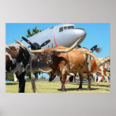 C-47 Skytrain in Texas Poster (Vorne)