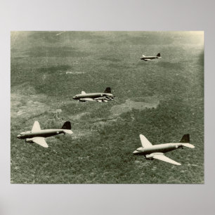 C-47s und P-40 Poster