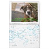 C.A.T.S. Kalender 2009 (Mär 2027)