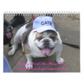 C.A.T.S. Kalender 2009 (Titelbild)