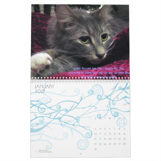 C.A.T.S. Kalender 2009 (Jan 2027)