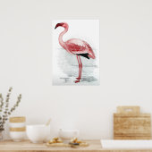 C G Finch-Davies Flamingo Poster (Küche)