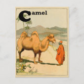 C ist für Camel - Alphabet Animal Postkarte (Vorderseite)