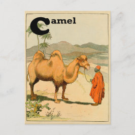 C ist für Camel - Alphabet Animal Postkarte
