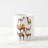 C ist für Camelid Kaffeetasse (Mittel)