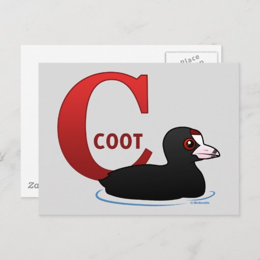 C ist für Coot Postkarte (Vorne/Hinten)