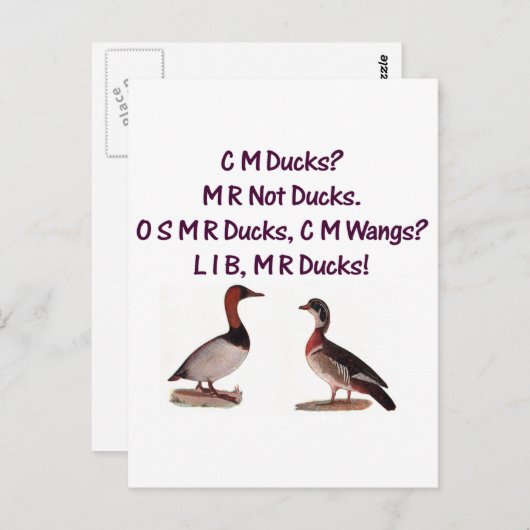 C M Enten? Funny Southern Accent Postkarte (Vorne/Hinten)