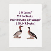 C M Enten? Funny Southern Accent Postkarte (Vorderseite)
