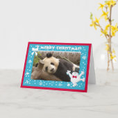 c-panda-278-b karte (Gelbe Blume)