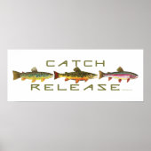 . C & R - Forellen Poster (Vorne)