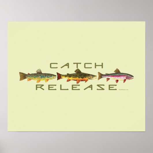 . C & R - Forellen Poster (Vorne)