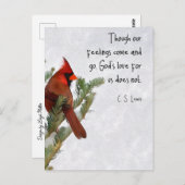 C.S. Lewis Quote Postkarte (Vorne/Hinten)