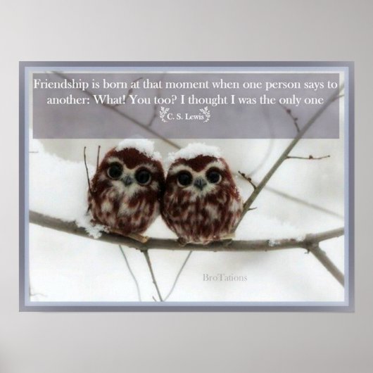 C. S. Lewis und die Owls Poster (Vorne)