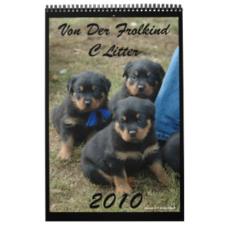 C-Sänfte-Kalender 2010 Kalender