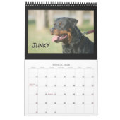 C-Sänfte-Kalender 2010 Kalender (Mär 2026)