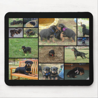 C-Sänftewelpencollage Mousepad