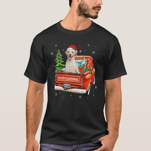 C:\Users\Administrator\Downloads\Labrador\Labrador T-Shirt (Vorderseite)