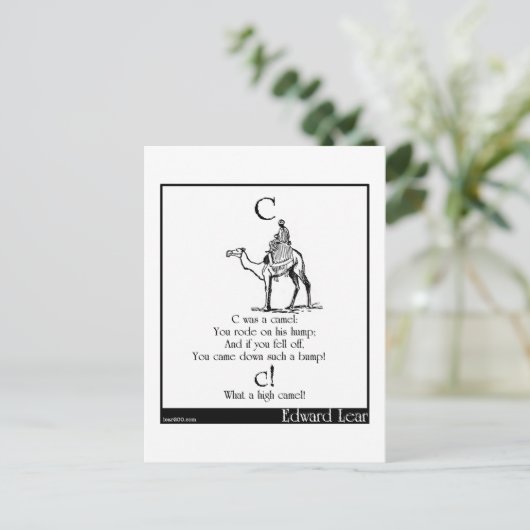 C war ein Kamel Postkarte (Stehend Vorderseite)