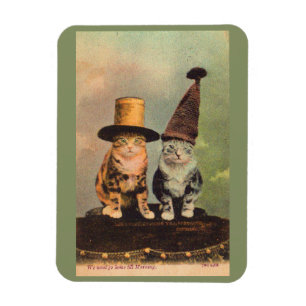 ca. 1900 Katzen in Hüten RPPC Magnet