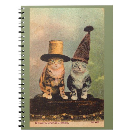 ca. 1900 Katzen in Hüten RPPC Notizblock (Vorderseite)