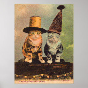 ca. 1900 Katzen in Hüten RPPC Poster