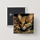 CA, Central Panama, Soberania NP, Margay 2 Button (Vorne & Hinten)