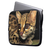 CA, Central Panama, Soberania NP, Margay 2 Laptopschutzhülle (Vorderseite Links)
