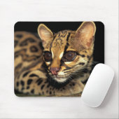 CA, Central Panama, Soberania NP, Margay 2 Mousepad (Mit Mouse)