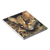 CA, Central Panama, Soberania NP, Margay 2 Notizblock (angewinkelt)