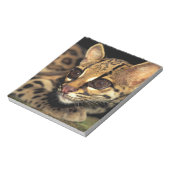 CA, Central Panama, Soberania NP, Margay 2 Notizblock (Rotiert)