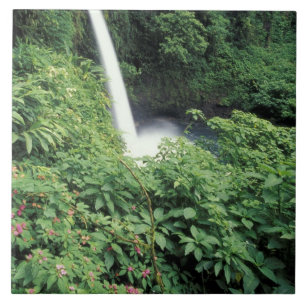 CA, Costa Rica. La-Paz-Wasserfall und Impatiens Fliese