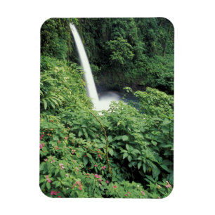 CA, Costa Rica. La-Paz-Wasserfall und Impatiens Magnet