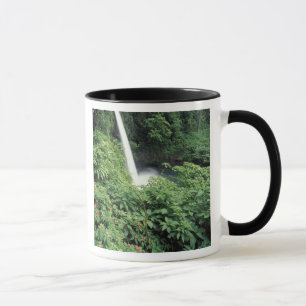CA, Costa Rica. La-Paz-Wasserfall und Impatiens Tasse