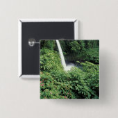 CA, Costa Rica. Wasserfall La Paz und Ungeduld Button (Vorne & Hinten)