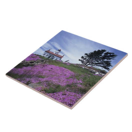 CA, Crescent City, Battery Point Leuchtturm mit Fliese (Seite)